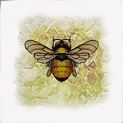 Bumble Bee2